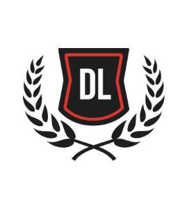 DL Academy - Город Тольятти логотип.jpeg
